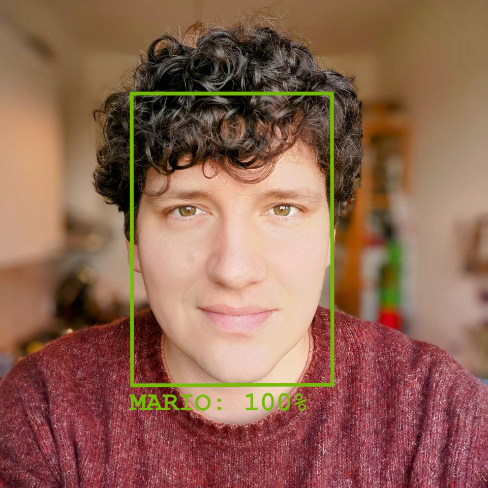 Object Detection